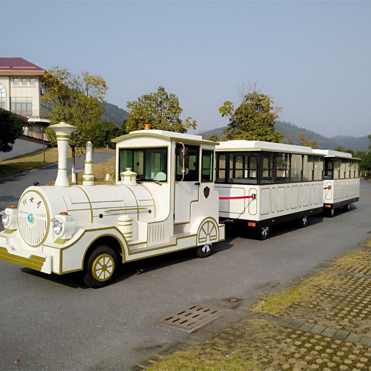 Enclosed Fuel Electric Road Passenger Tourist Sightseeing Big Thermostat Train - Dorlin DL-LD for Sa